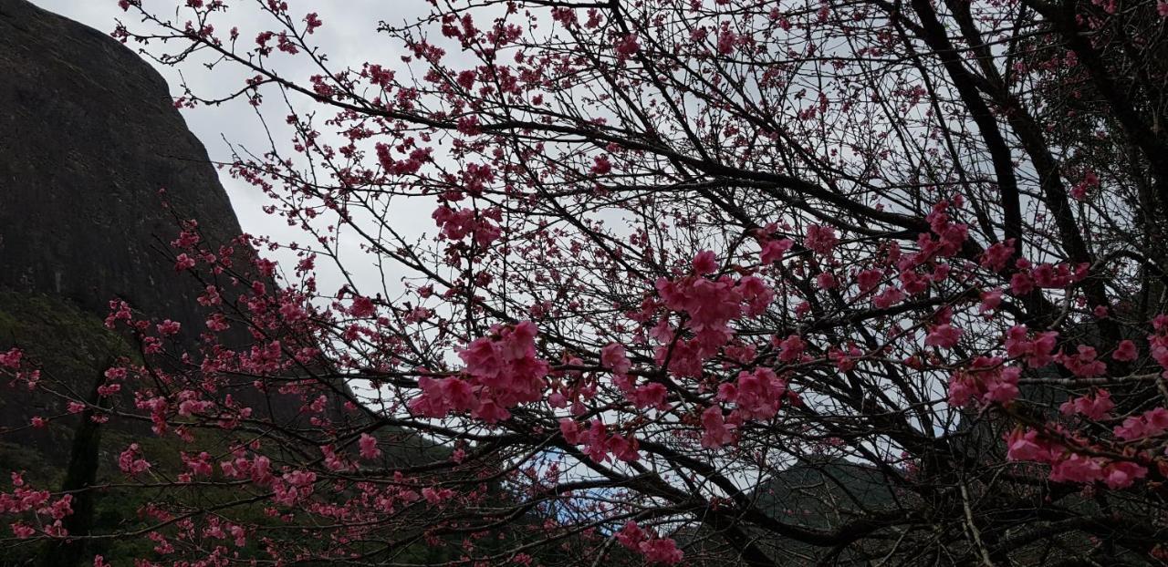 Petrópolis Chale Rosa Do Vale 빌라 외부 사진